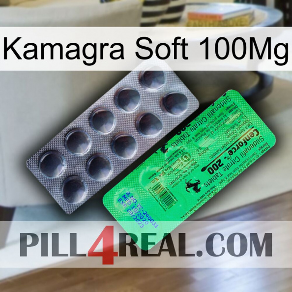 Kamagra Soft 100Mg new04